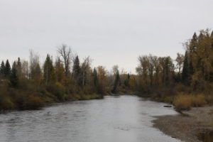 Looks pretty in the fall