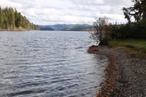 Kokanee Spawning grounds on Horsefly Lake