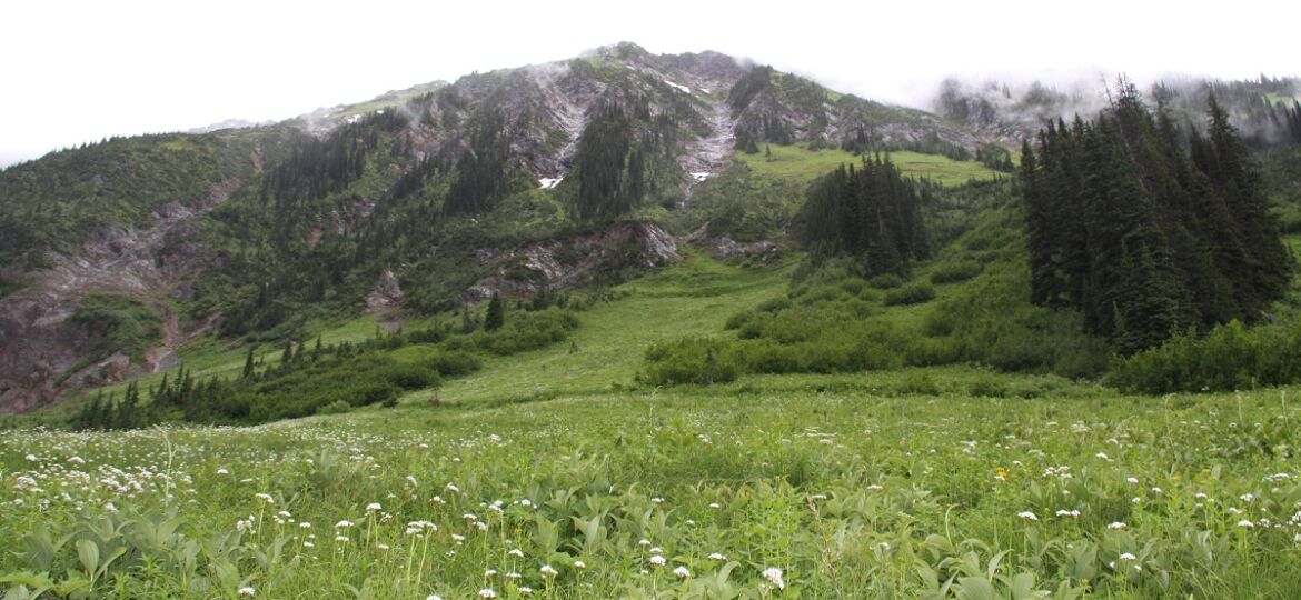 Station 5  ATV Poker Ride