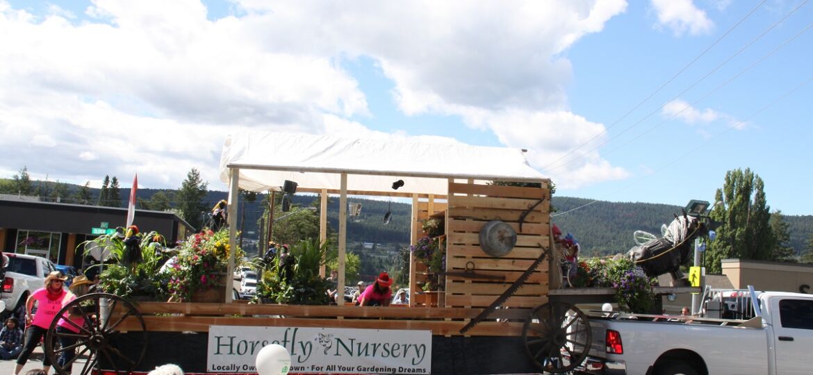 Horsefly Nursary in the Stampede Parage