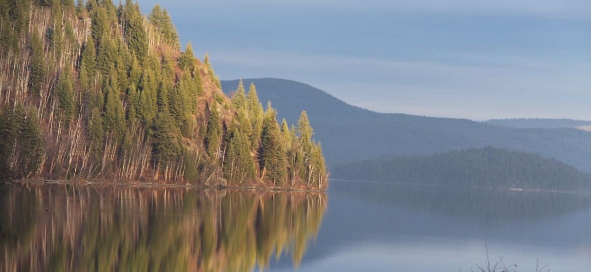 Dilabough reflection