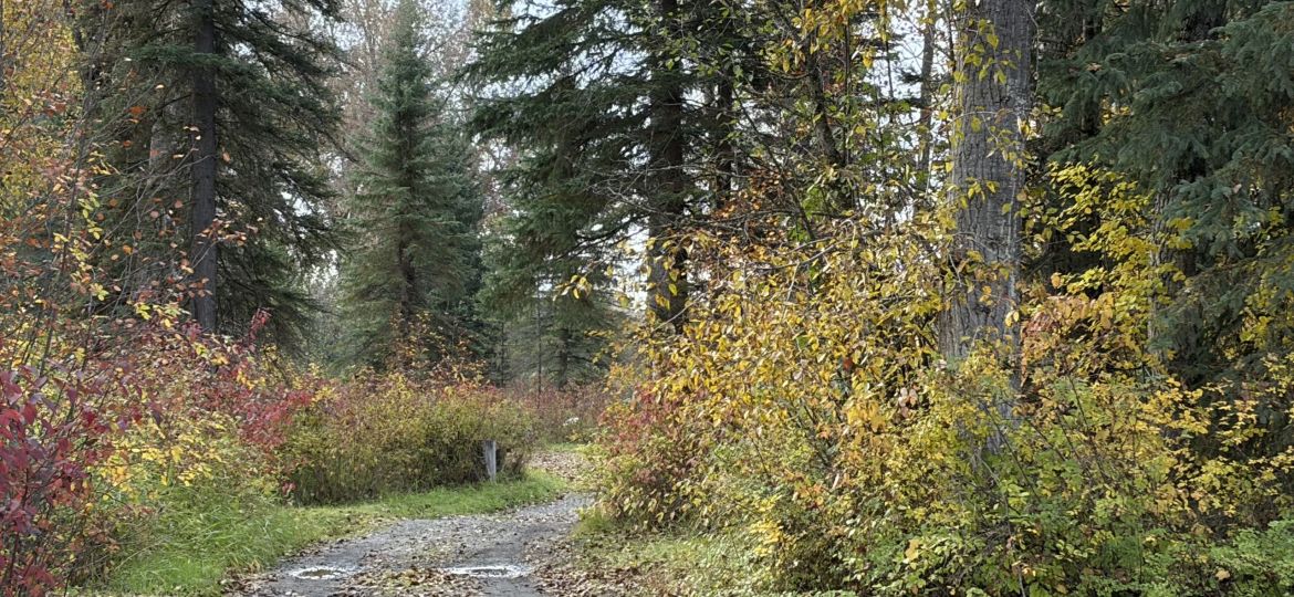 Horsefly Story Walk
