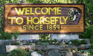Welcome to Horsefly